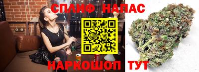 СК Ипатово